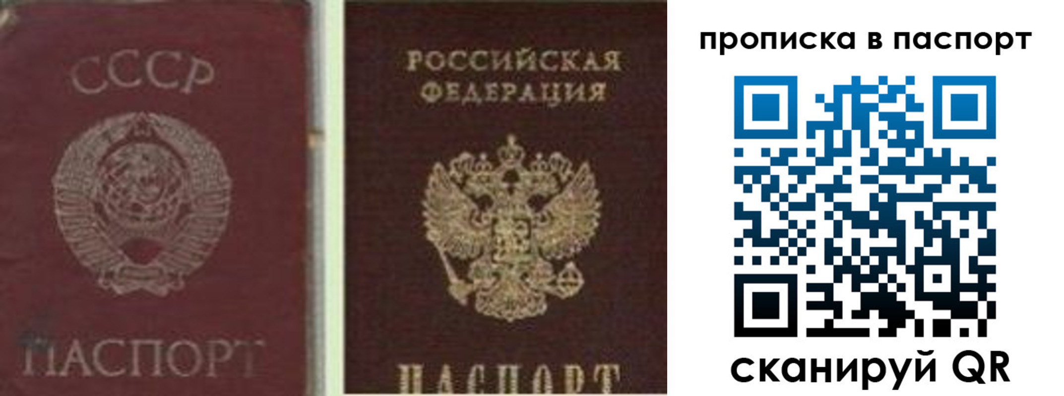 временная регистрация недорого в Светогорске